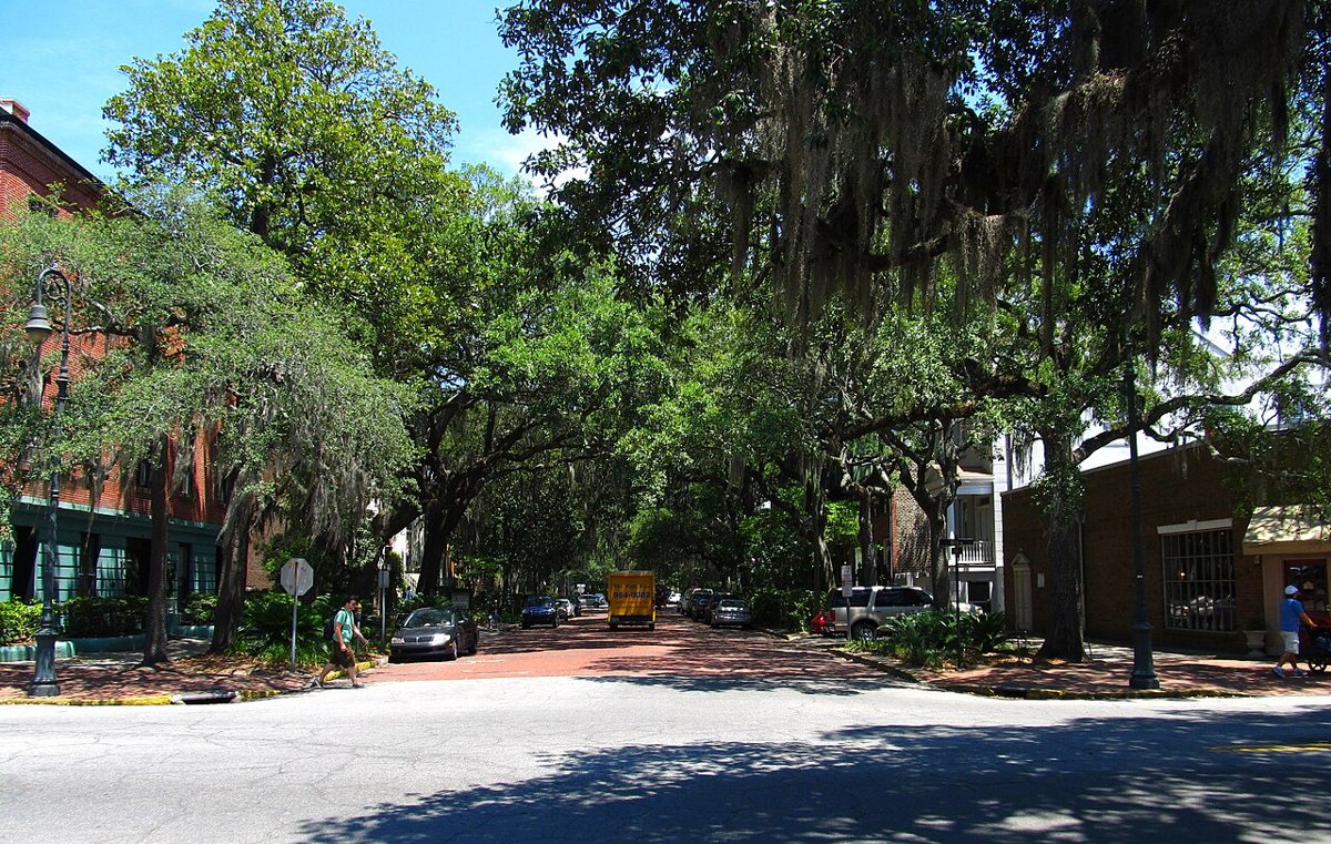 Historic squares and oak trees in downtown Savannah, Georgia