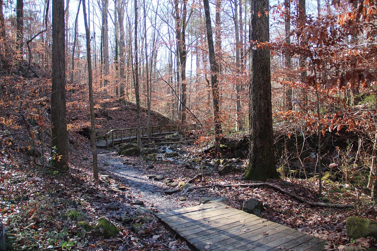 the wooded creek and waterfall inside Cascade Springs Nature Preserve